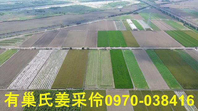 嘉義鹿草農地-4