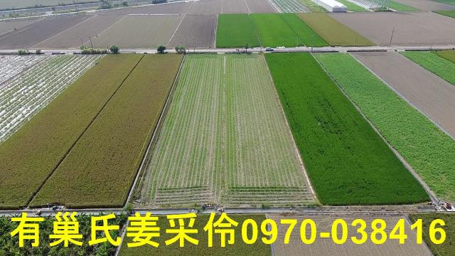 嘉義鹿草農地-6