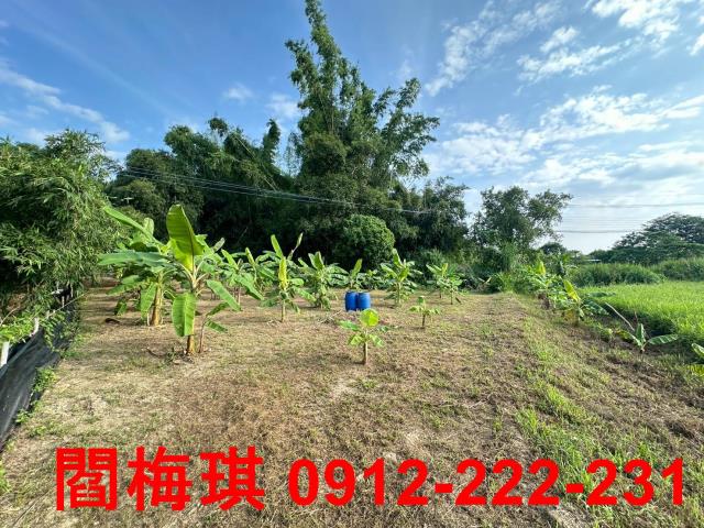 台南關廟農地-0