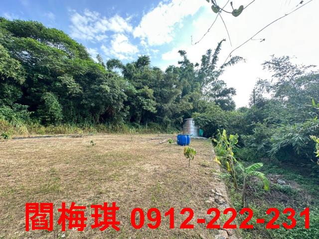 台南關廟農地-2