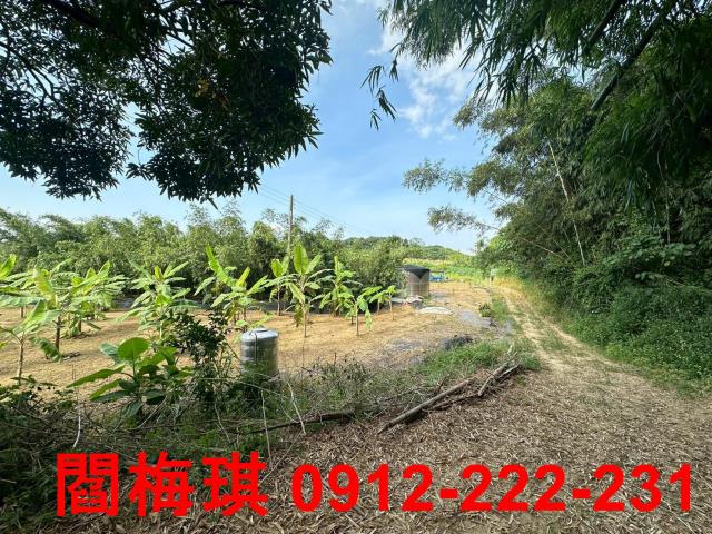 台南關廟農地-7