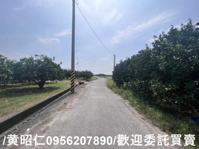 台南麻豆農地-0