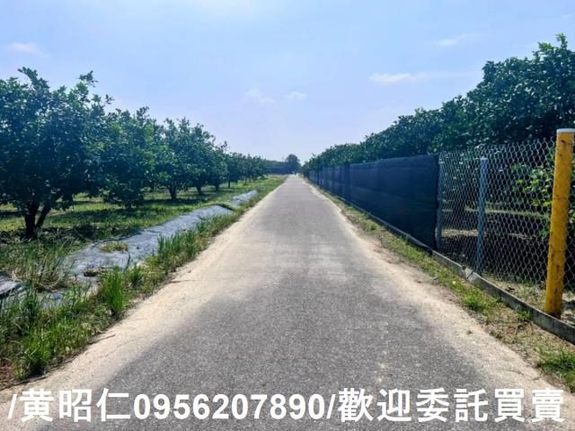 台南麻豆農地-1