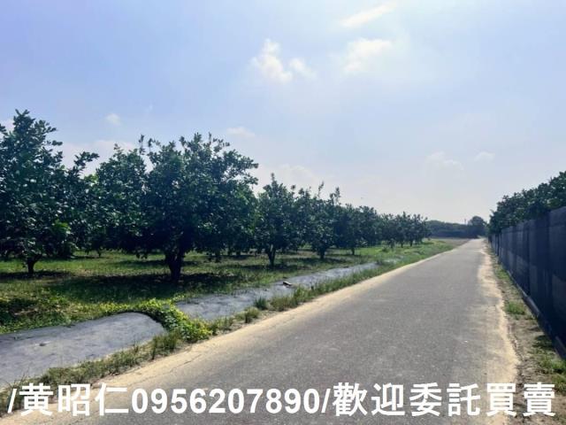 台南麻豆農地-2