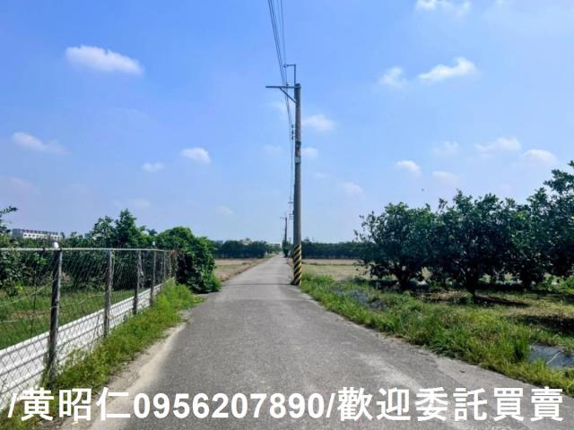 台南麻豆農地-5