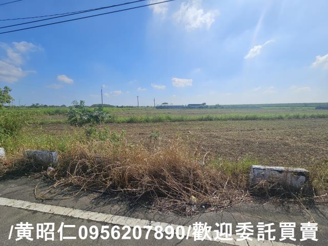 台南七股農地-1