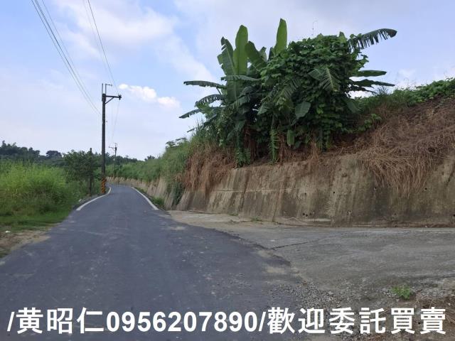 台南山上農地-8