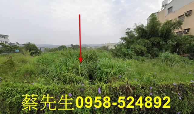 芳苑芳草路文津段農舍地興建農舍種植農作物