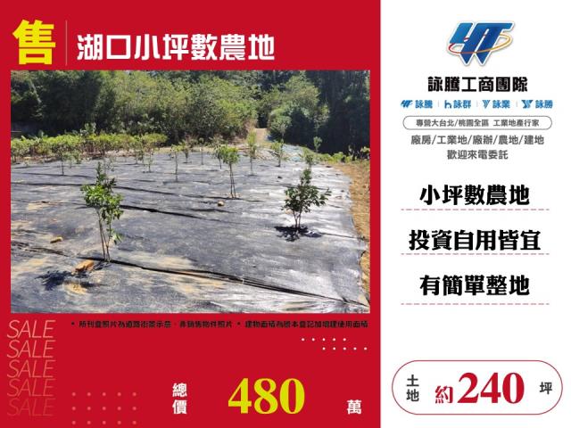 新竹湖口農地-0