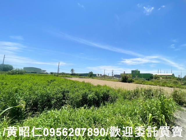 台南安定農地-2