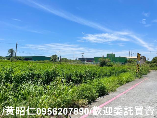 台南安定農地-4