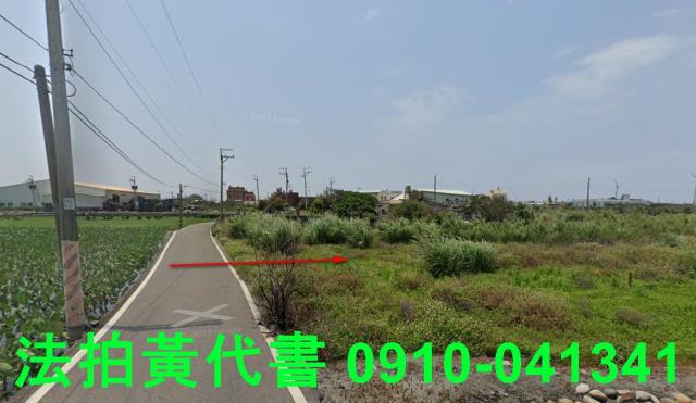 大安區法拍農地-9