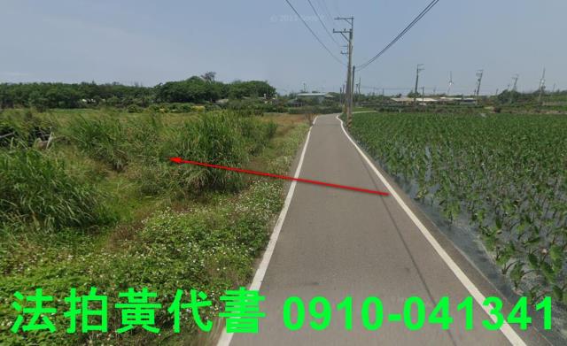 大安區法拍農地-3