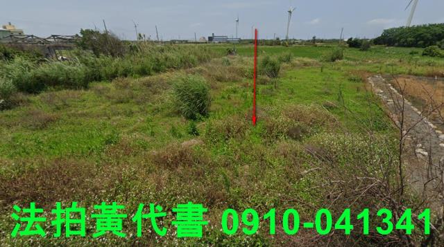 大安區法拍農地-8