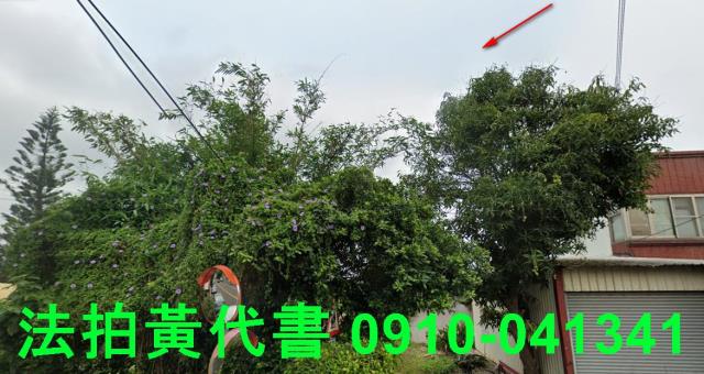 外埔農地法拍-10