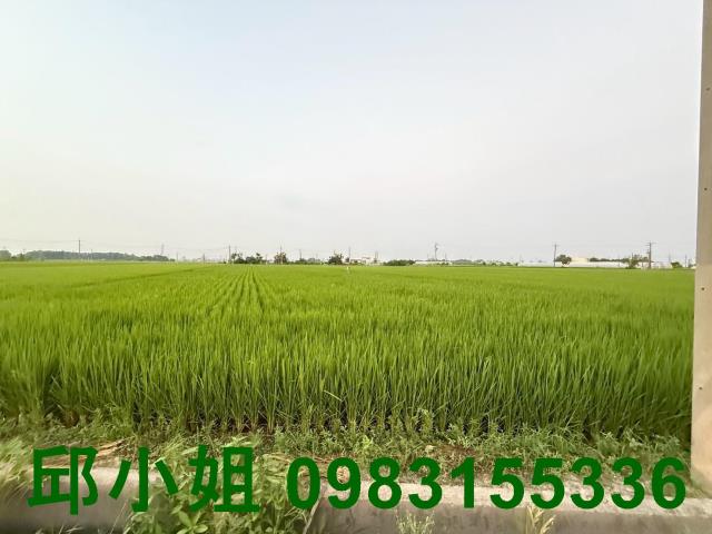 嘉義阿魯米建地農地買賣台灣房屋嘉義湖子內店富鑫團隊呂昆佩