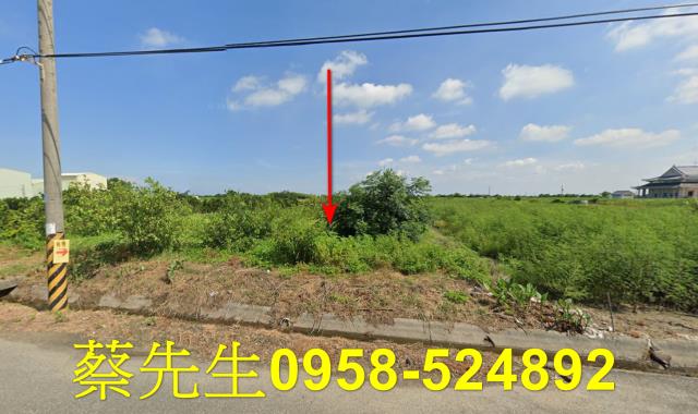 義竹義竹村農舍地興建農舍種植農作物