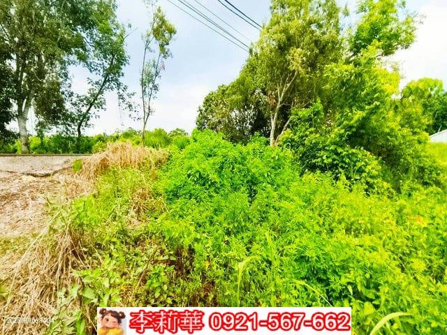 台南白河農地-9