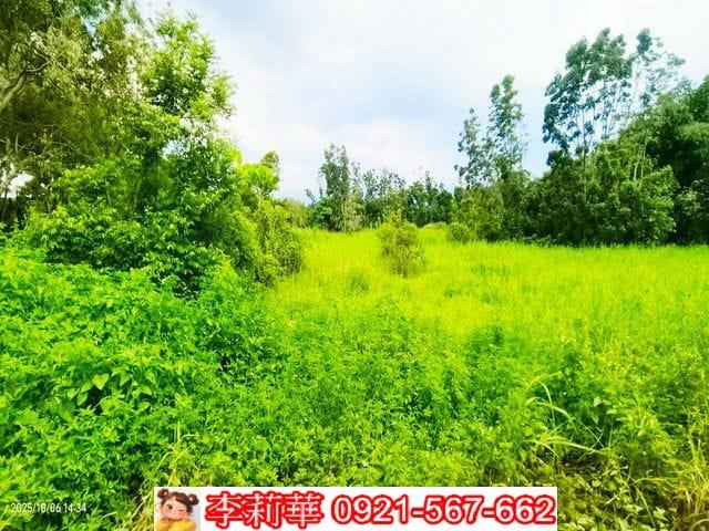 台南白河農地-10