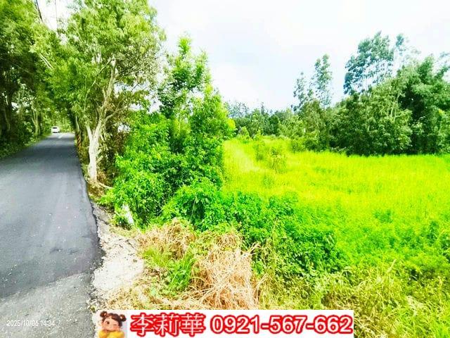 台南白河農地-6