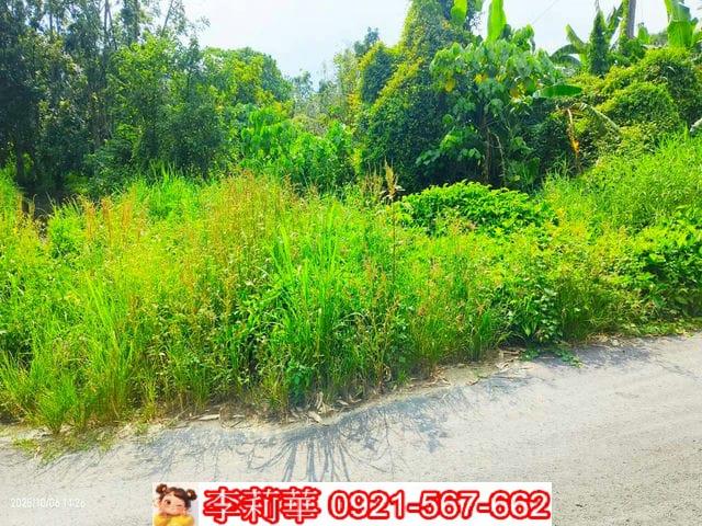 台南白河農地-7