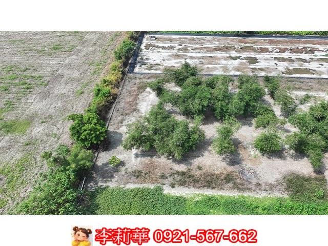 台南西港農地-1