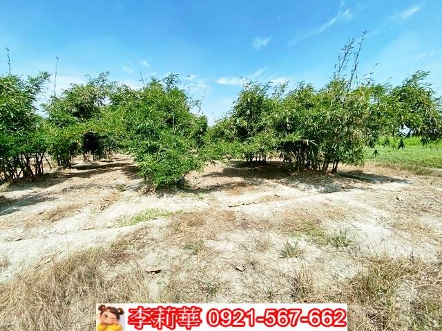 台南西港農地-3