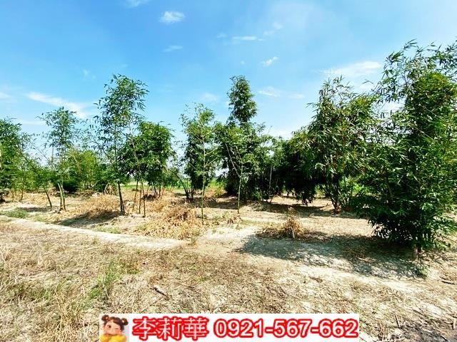 台南西港農地-6