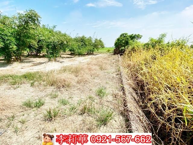 台南西港農地-8