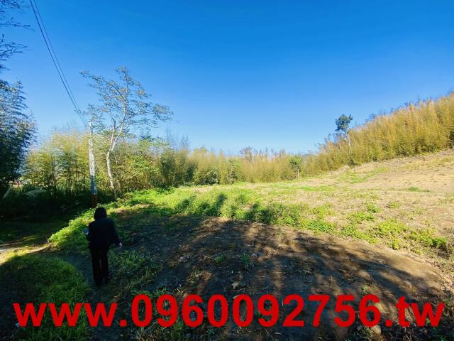 新竹縣市房地產新埔農會大茅埔三元宮