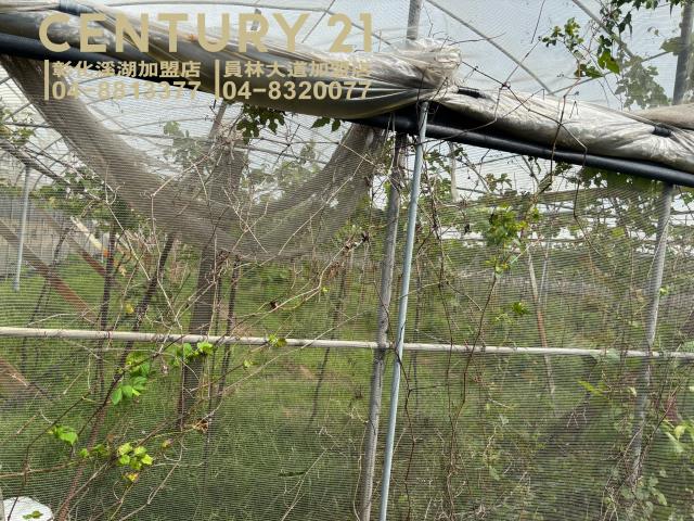 彰化溪湖農地-5