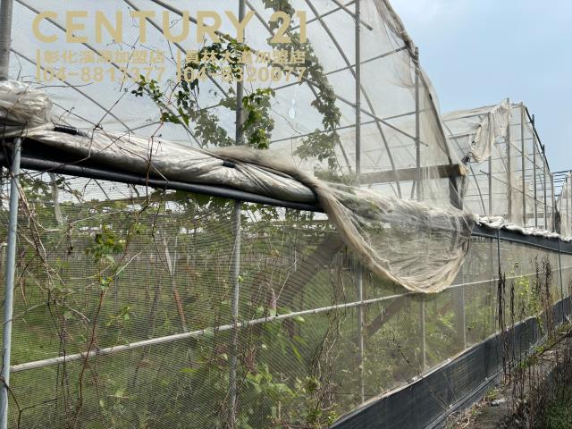 彰化溪湖農地-6