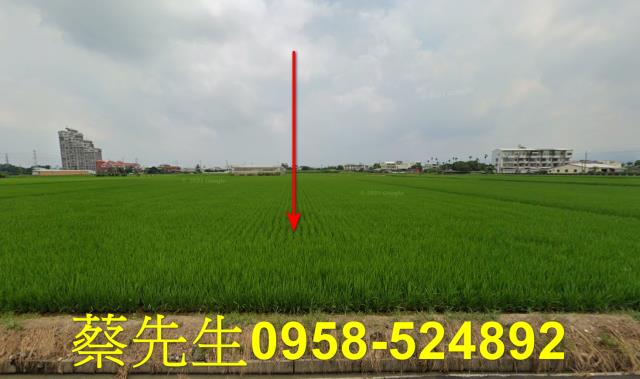 東勢下路利潭農舍地興建農舍種植農作物