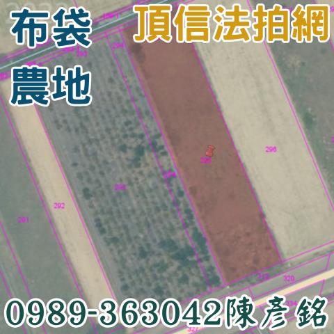 嘉義法拍農地-2