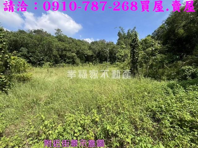 台南農地-3
