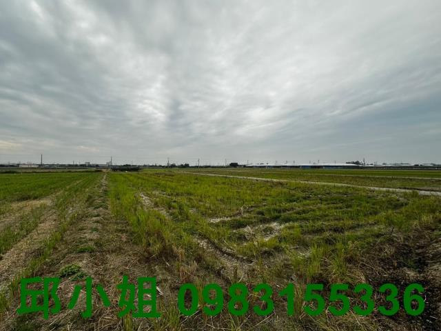 台南柳營農地-0