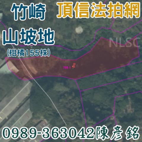 嘉義竹崎農地法拍-1