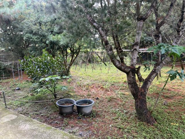 台中東勢農地-1