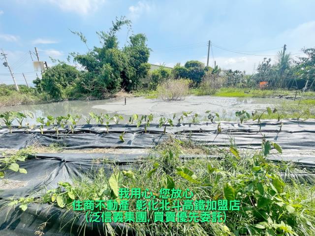 彰化田尾農地-1