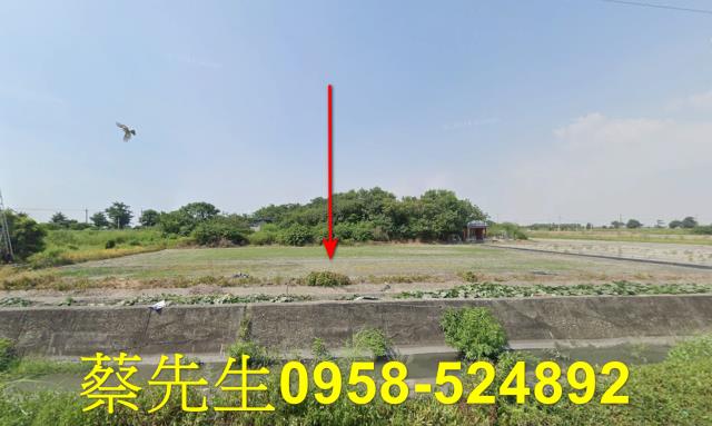 水林松北村農舍地興建農舍種植農作物