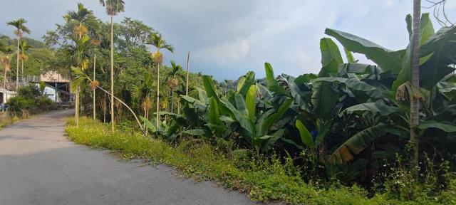 台中市東勢區石角小段大平台農地