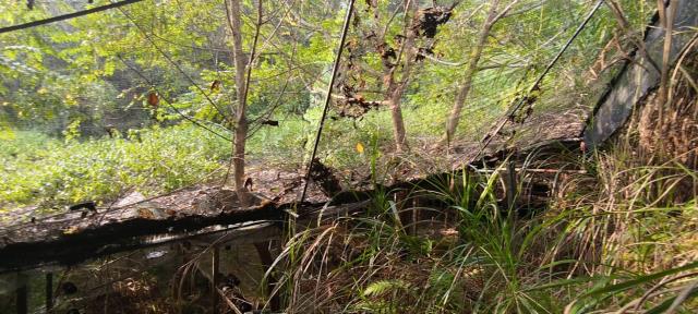 台中東勢農地-6