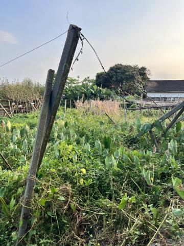 台中東勢農地-3