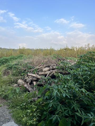 后里買賣后里土地