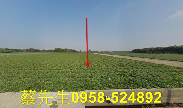 水林大溝村農舍地興建農舍種植農作物