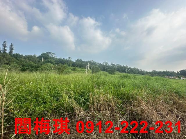 台南新化農地-0