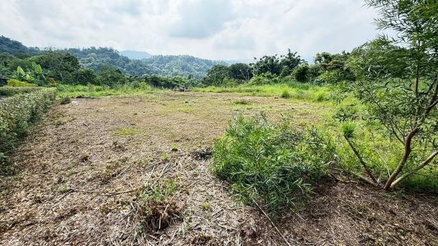 新竹橫山農地-11