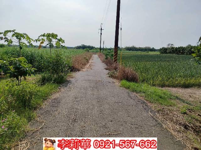 近麻豆市區2分角窗都內農地