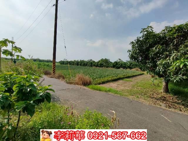 台南歸仁農地-1