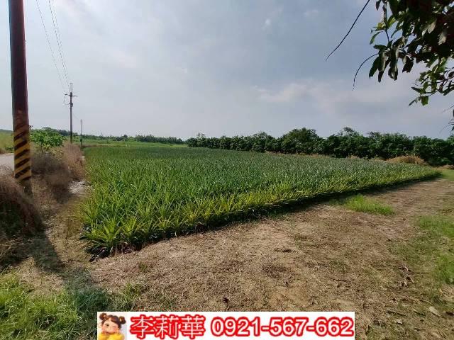 台南歸仁農地-3